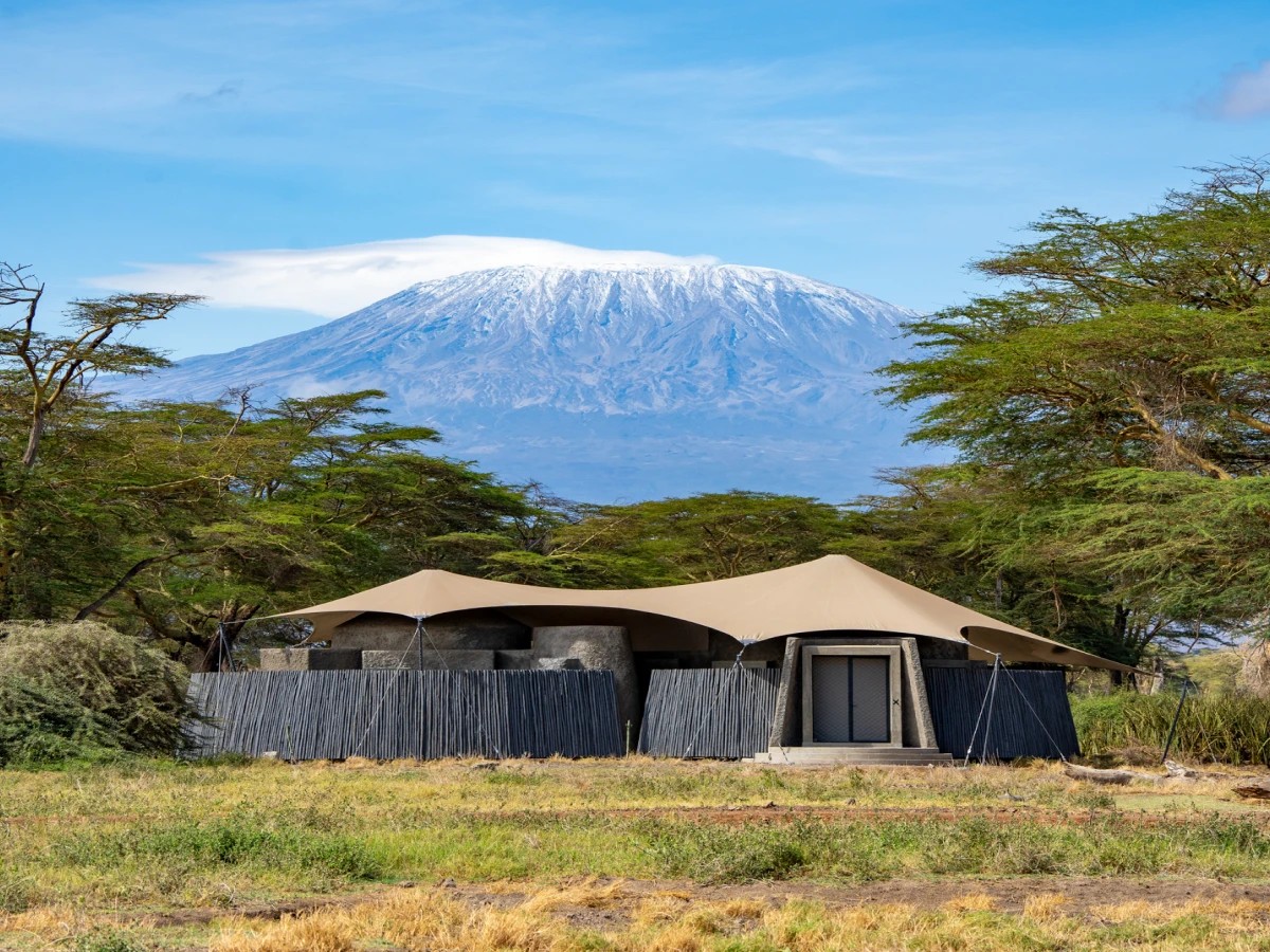 Amboseli vs. Masai Mara: Which Kenya Safari Is Right for You?
