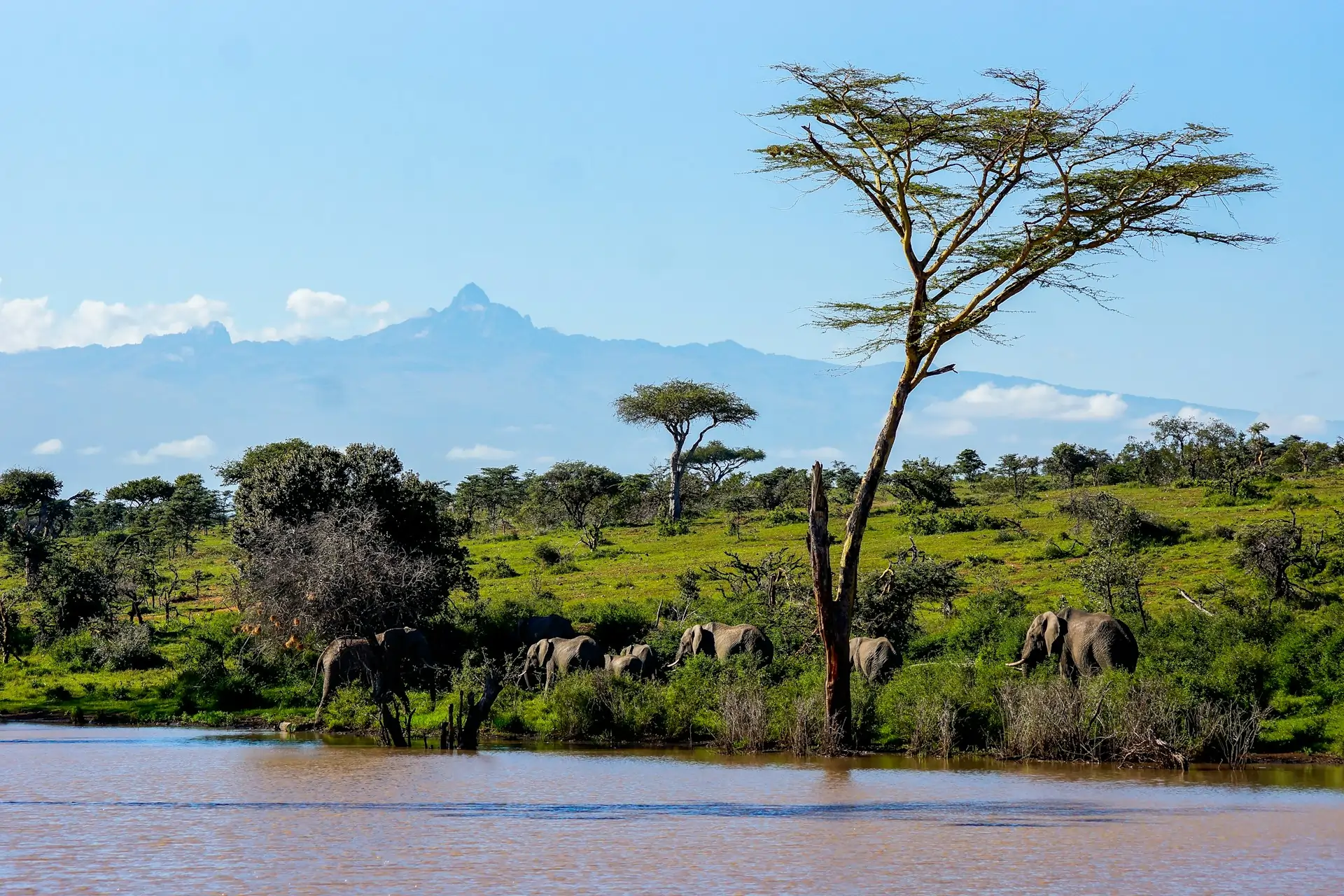Kenya Family Safari Guide: Best Parks, Ideal Pacing, and How to Travel with Kids