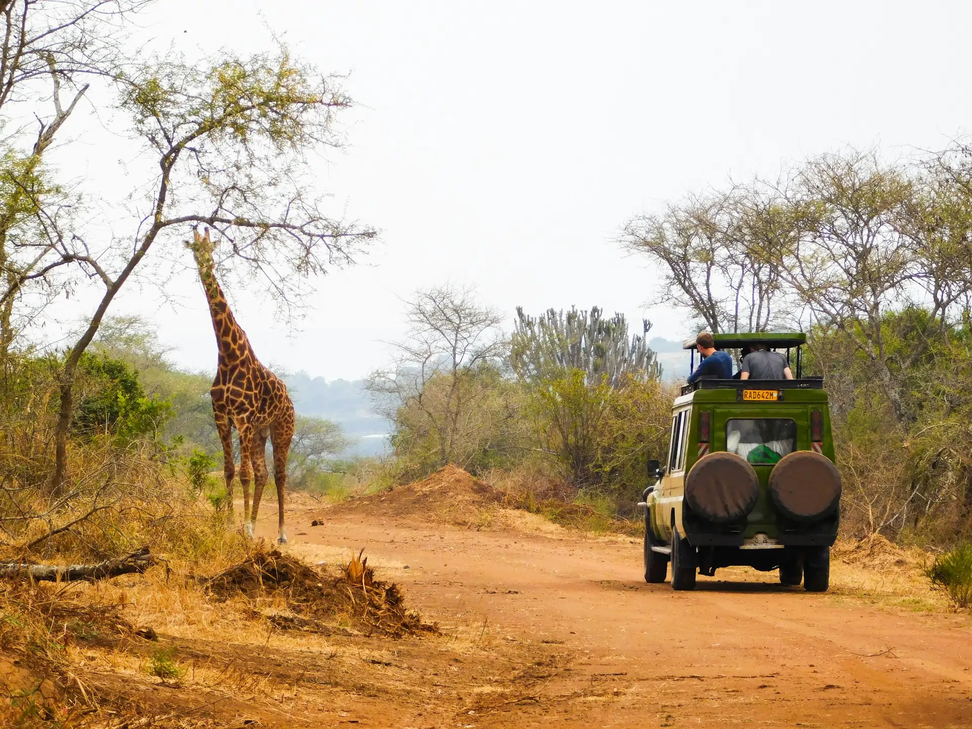 Akagera National Park
