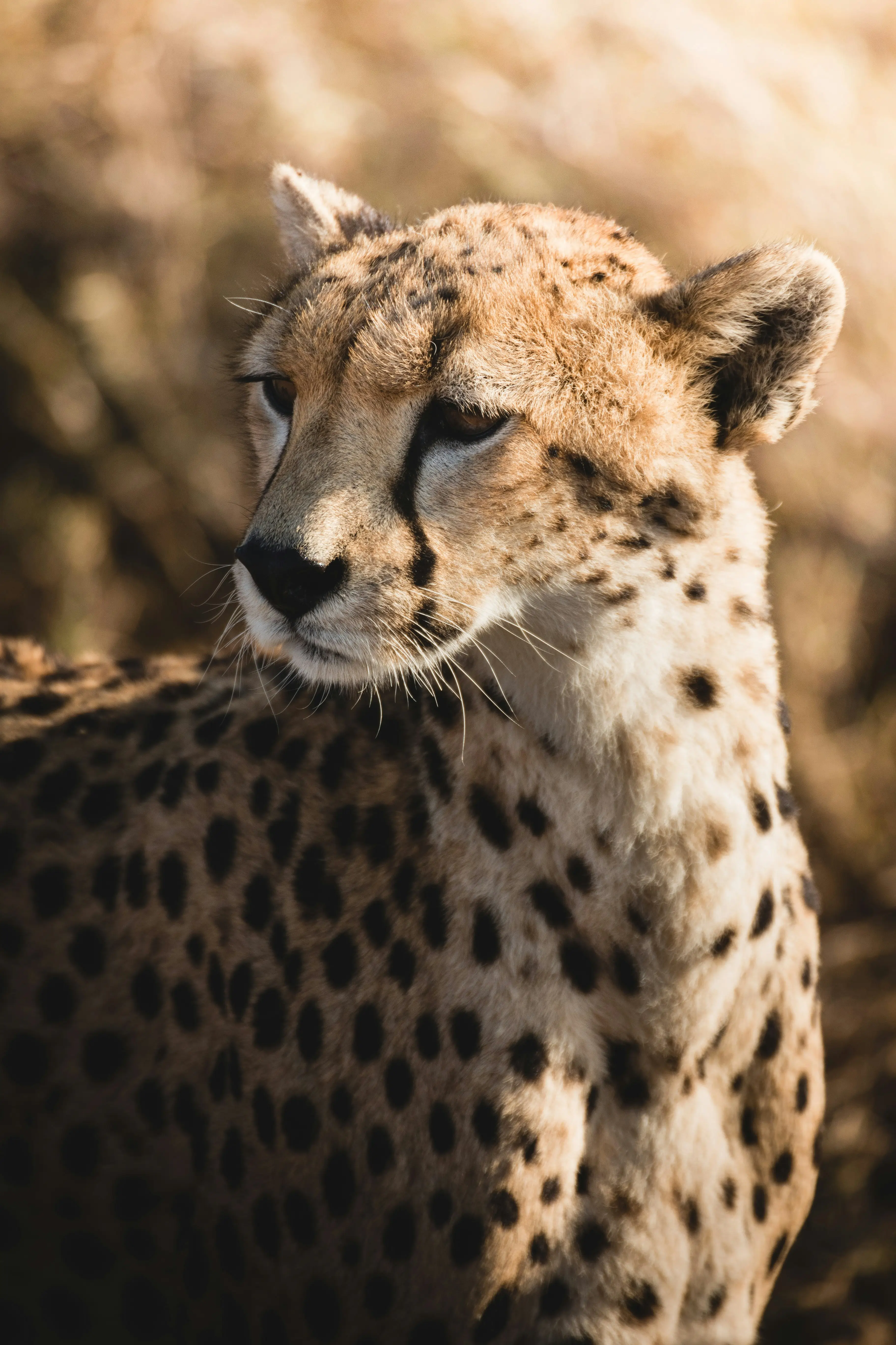 About Tanzania