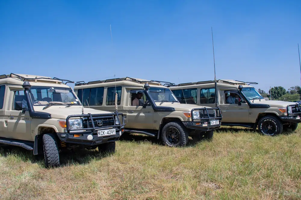 Safari Experience